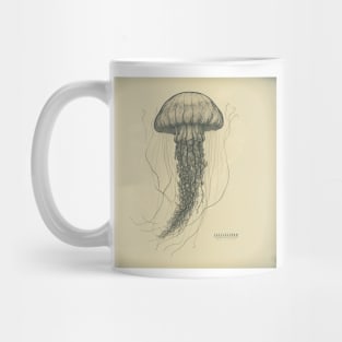 Vintage Jellyfish II Mug